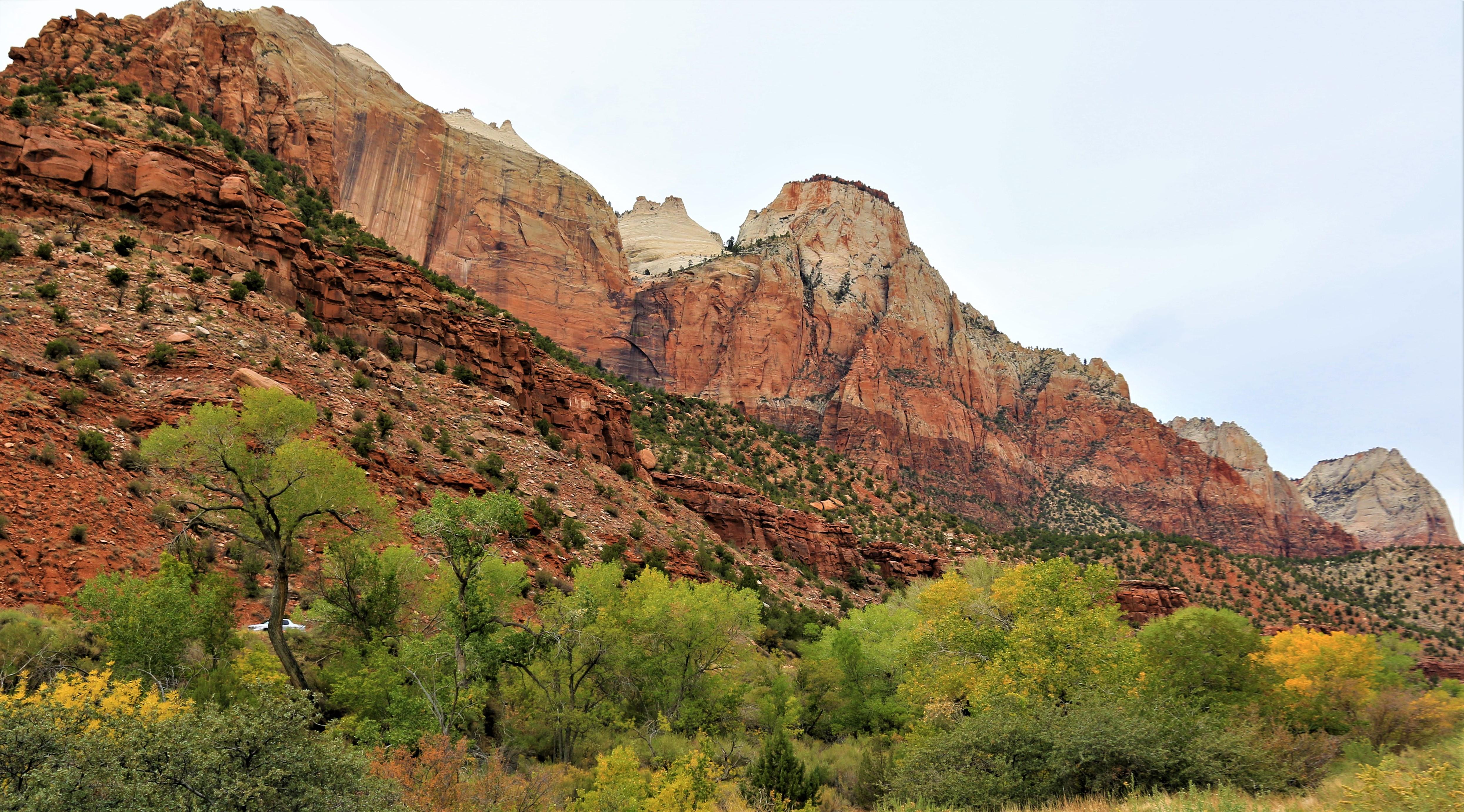 Zion NP